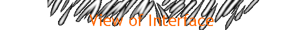 View of Interface